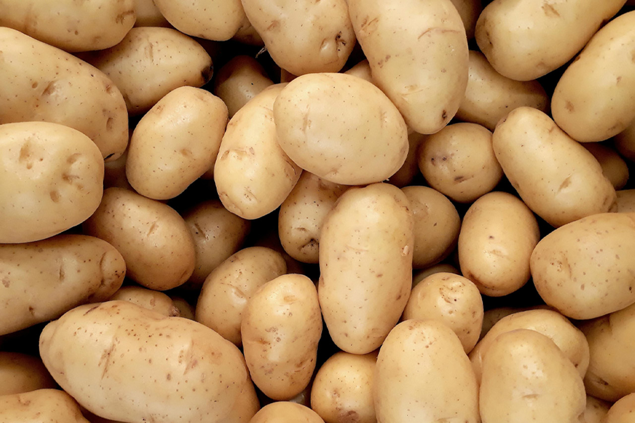 potato