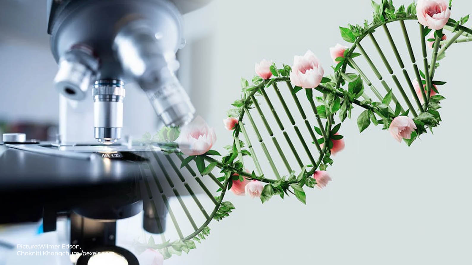 Biotechnology