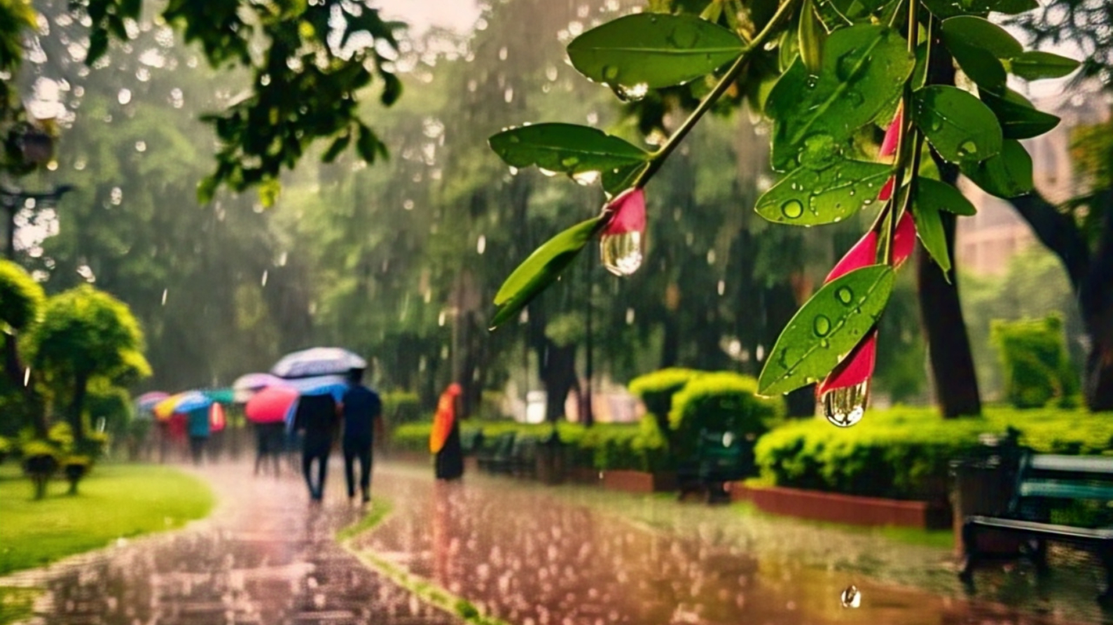 मौसम क्यों बदल रहा अपना मिजाज। क्या इस बार नहीं चलेगी लू