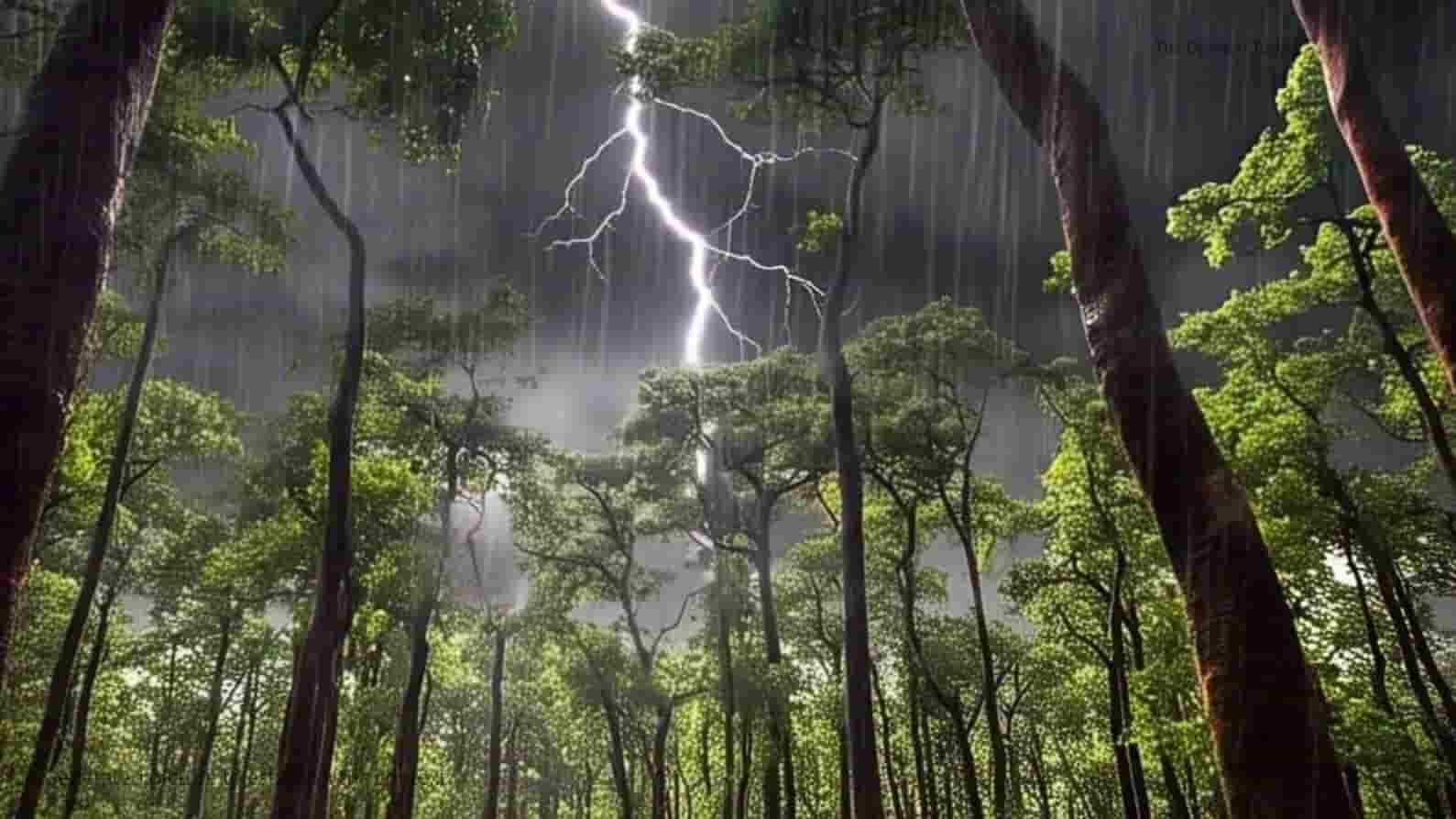 चतरा में क्यों बरपा भारी बारिश और आंधी का कोप, ओले और वज्रपात के लिए कौन जिम्मेदार।