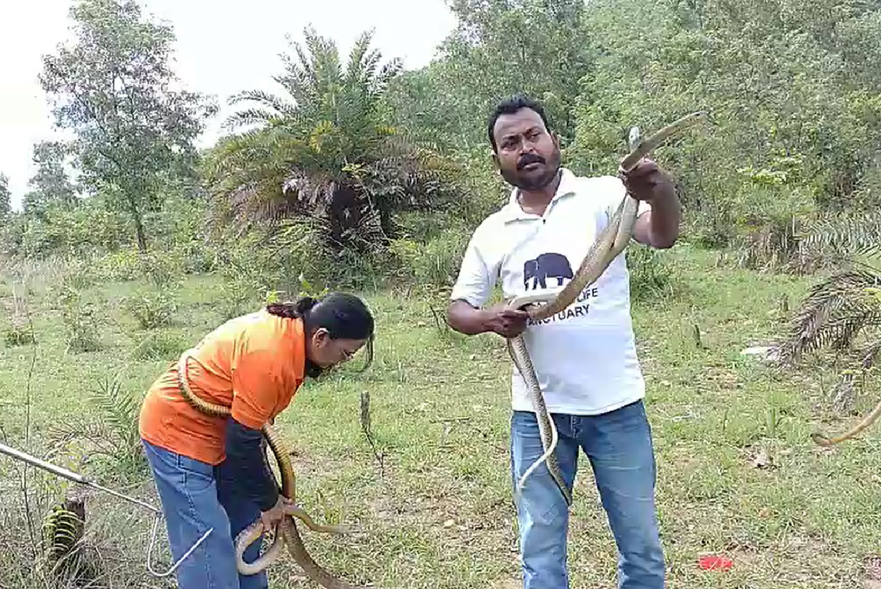 झारखण्ड के स्नेक ब्वॉय मिथिलेश कुमार श्रीवास्तव उर्फ छोटू